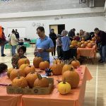 La cueillette de citrouilles bat son plein